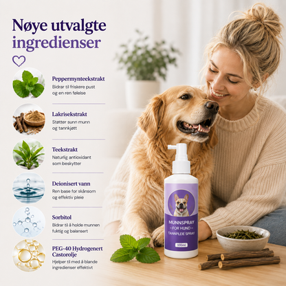 Munnspray for hund — daglig tannpleie uten børste