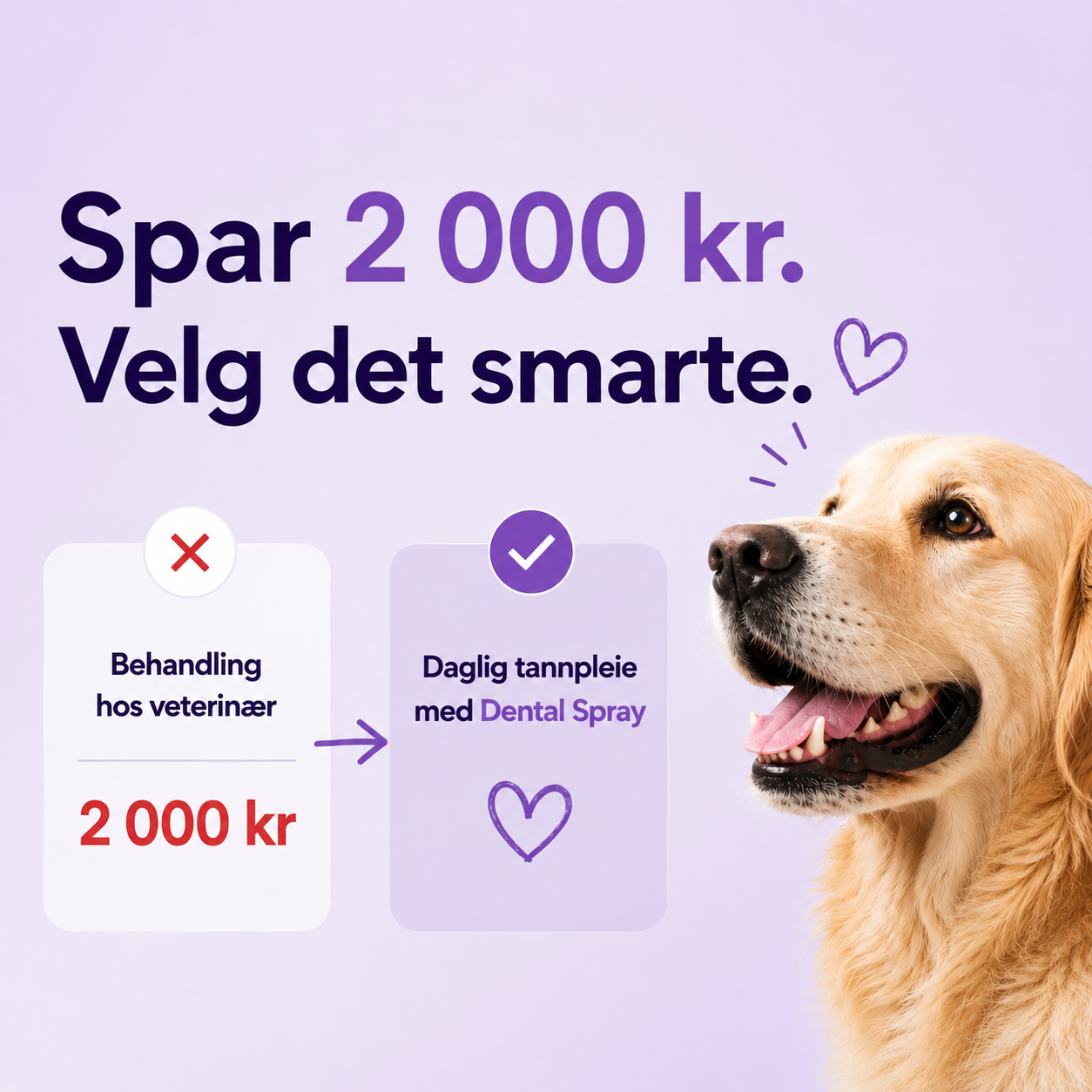 Munnspray for hund — daglig tannpleie uten børste